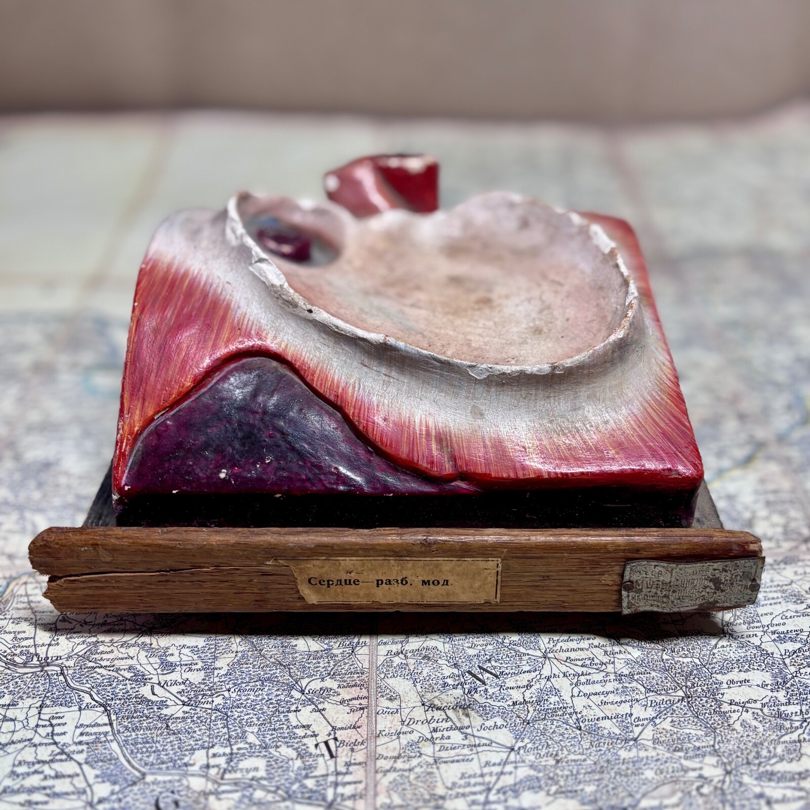 Rare 1930s Soviet Anatomical Model Dissectible Heart & Pelvic Vascular Section