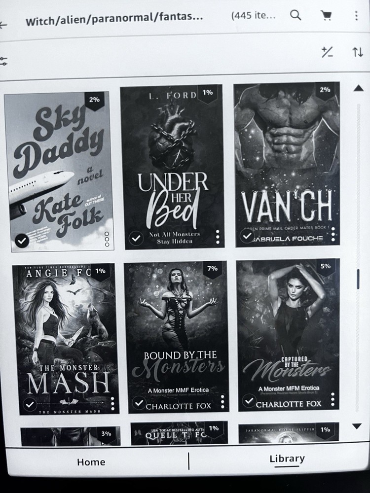 Amazon Kindle eBook Reader 32GB with books bundle