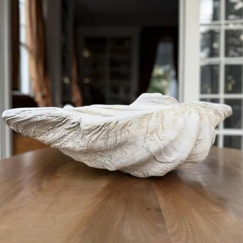 Large Clam Shell