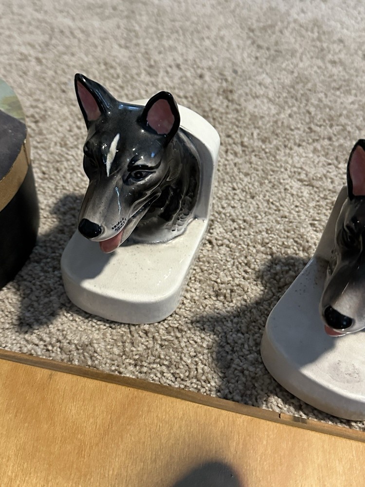 German Shepherds Lot