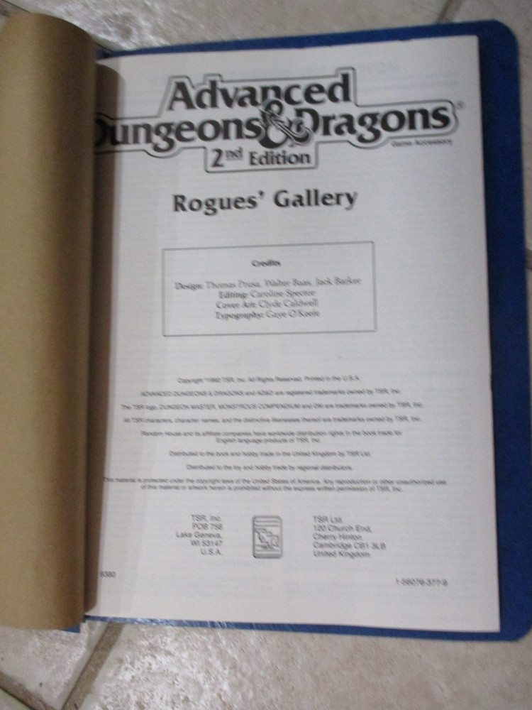 AD&D D&D REF6 The Rogues Gallery 9380