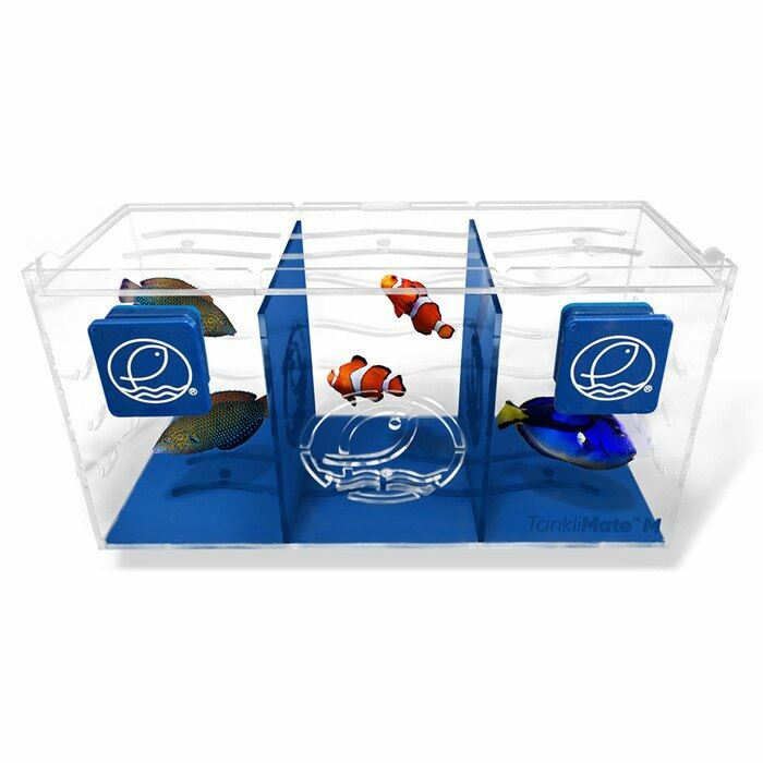 Tanklimate Acclimation Box Small (6 x 4 x 4) - Eshopps