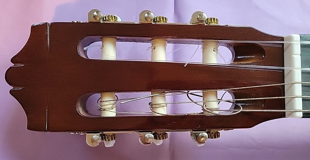 Yamaha CG110-A Guitar Nylon String With Soft Fender Case