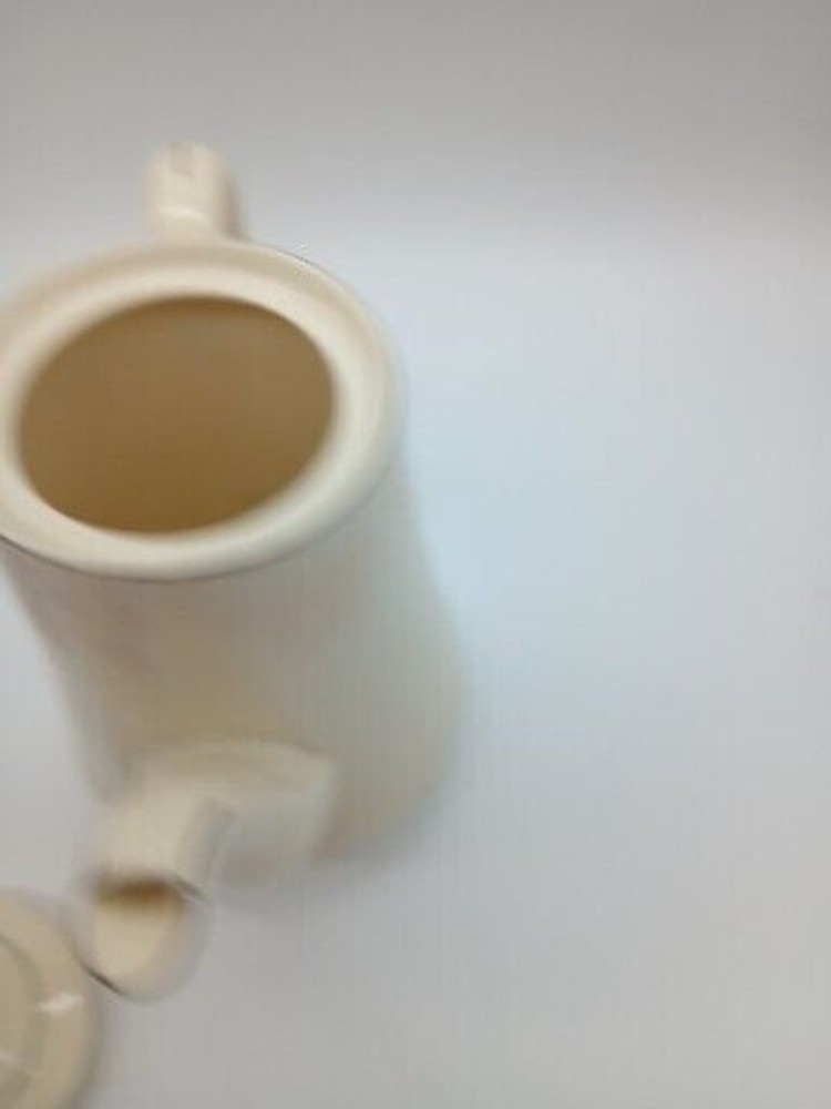 Budlet Teapot Ivory Fine China Leaf Vine Pattern