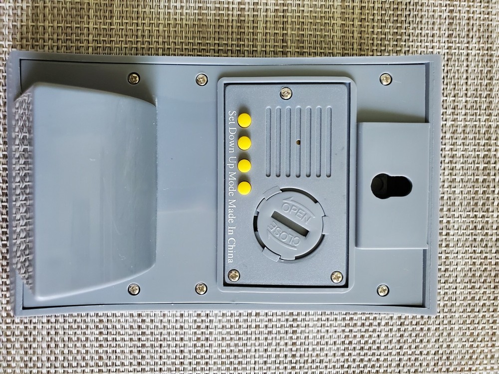 Year 2000 Count Down Clock