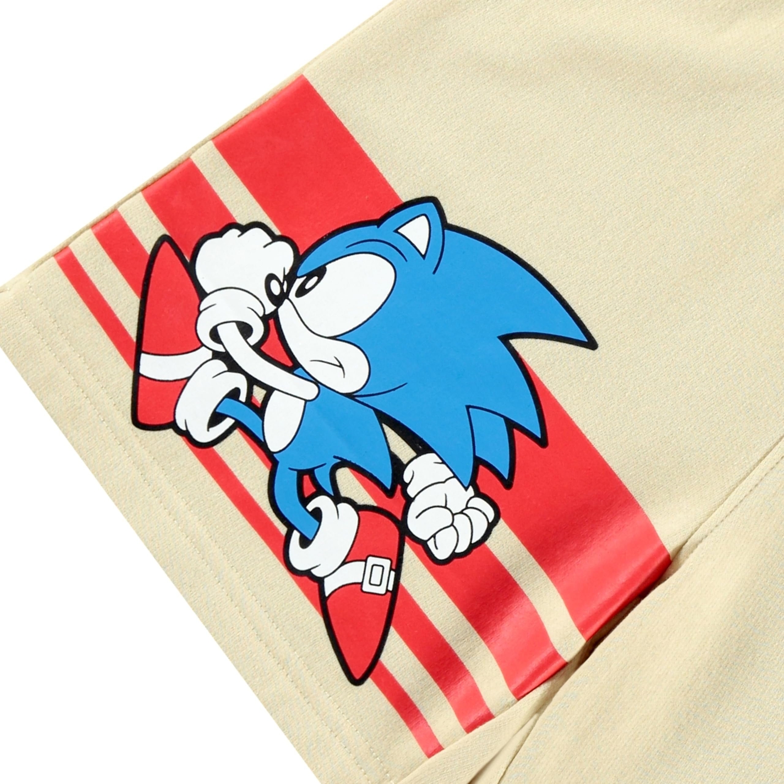 Boys Sonic The Hedgehog Sweatshirt and Shorts Clothing Set