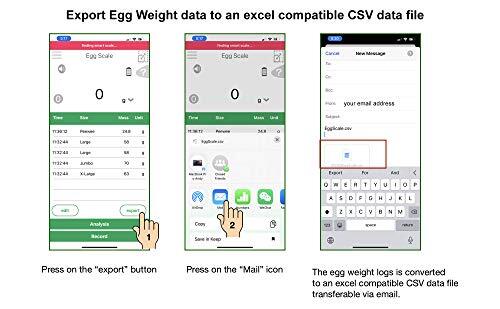 Super Egg Scale - Egg Sizing Sizes Grading Egg Weight Analysis 3000g / 0.1g D...