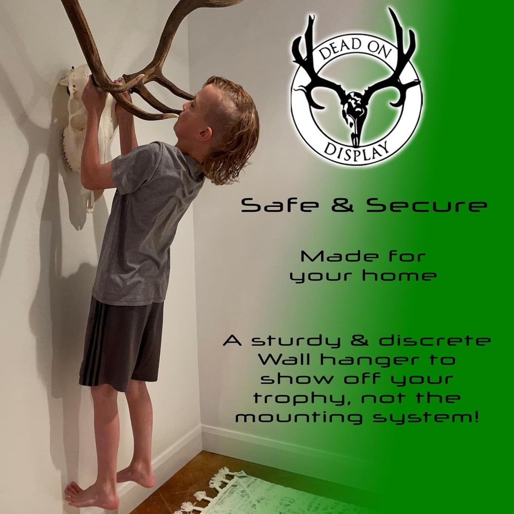 European Skull Mount Hanger - LARGE