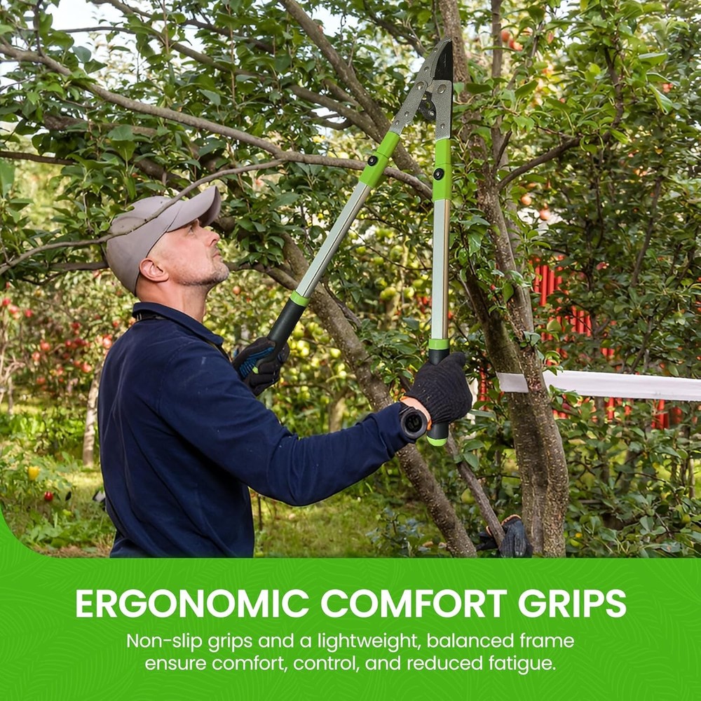 Extendable Anvil Lopper Tree Trimmer 1 Pack, Black, Green, Grey