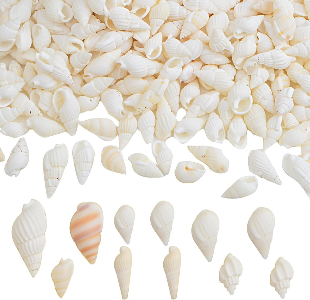 Approx 700Pcs Small White Clam Cay Seashells Natural Tiny Sea Shell Mini Spir...