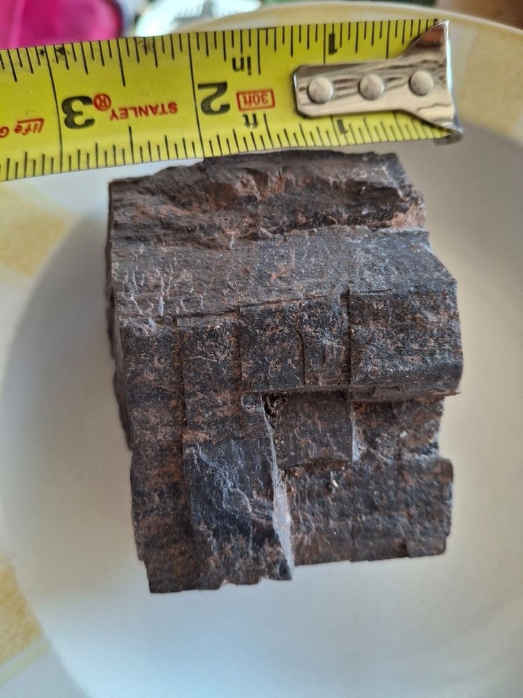 Petrified Wood Specimen
