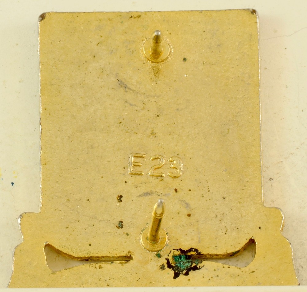 108th Armor Crest DI/DUI CB E23 HM