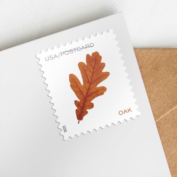 2025 USPS SHEET OF 20 POSTCARD STAMPS VIBRANT LEAVES 61¢