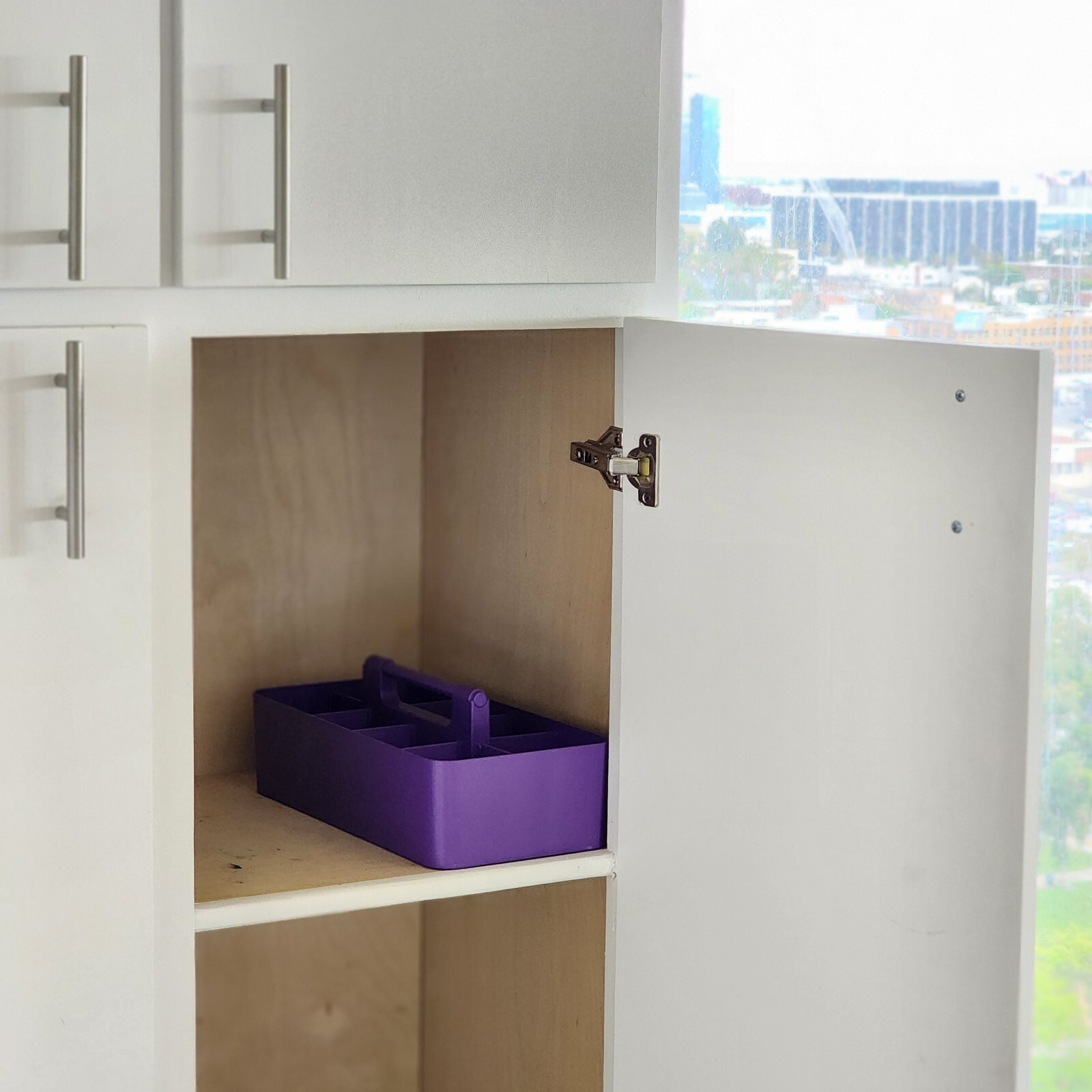 Enjoy Organizer - Plastic Storage Caddy Organizer | Multipurpose, Portable