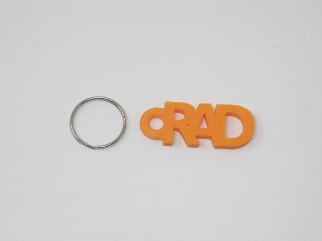 🔑RAD POWER BIKES Universal Battery Key w/black header & RAD Keychain ! 🔑