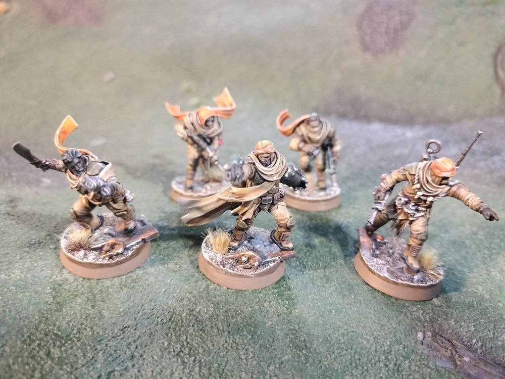 Desert Raiders Platoon Command