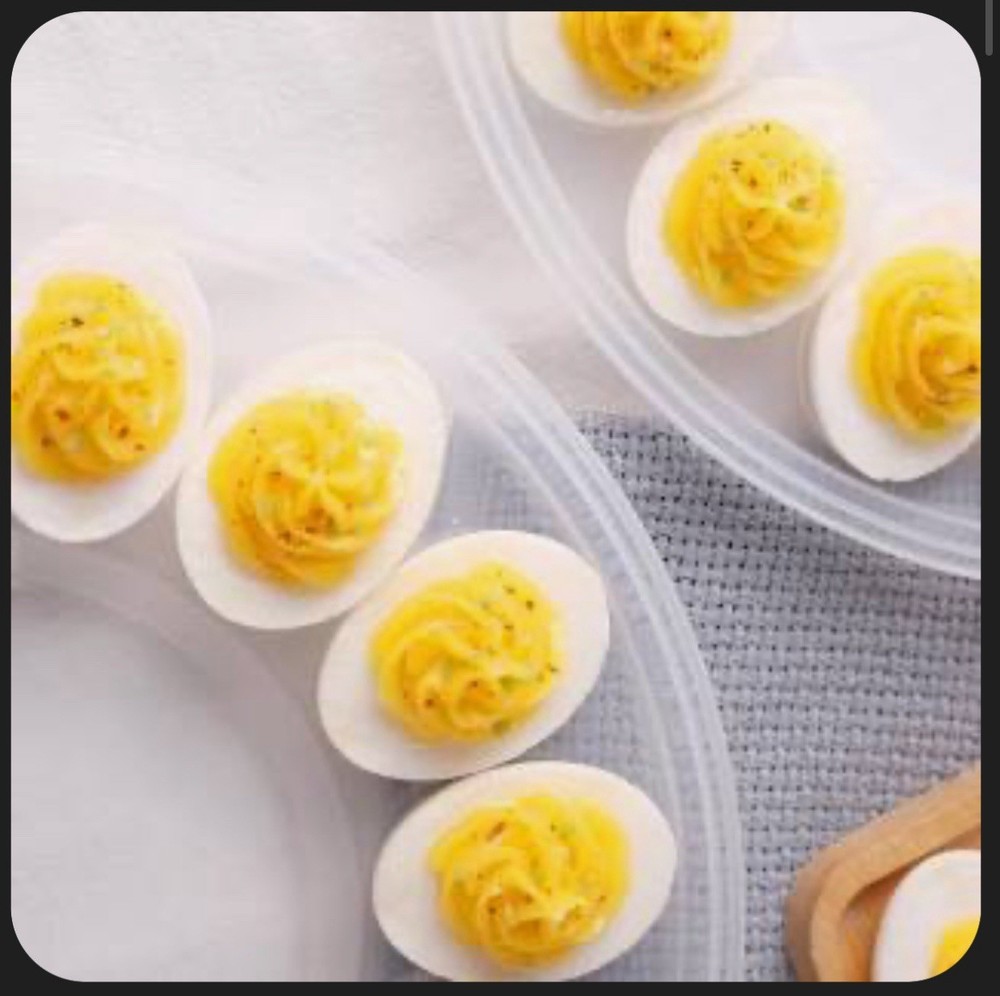 Shindel 3PCS Deviled Egg Platters, Deviled Egg Containers with Lid Portable