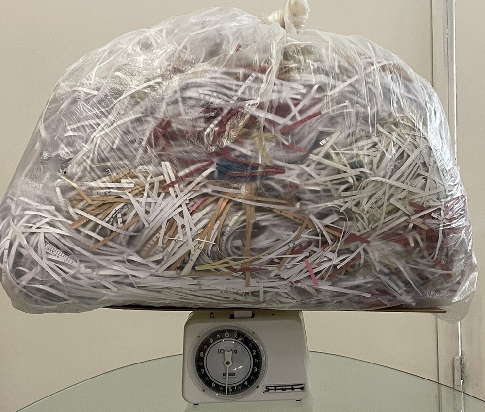 Material PACKAGING move shipping packaging protective light chopped