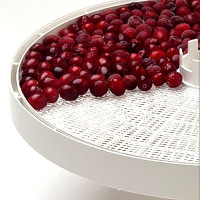 Nesco FD-1010 Dehydrator