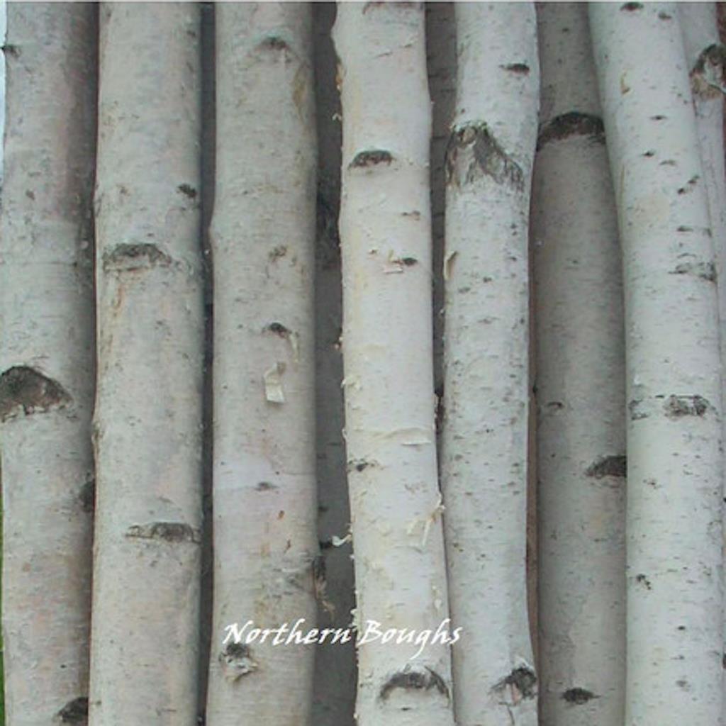 4 Thick White Birch Poles 8'