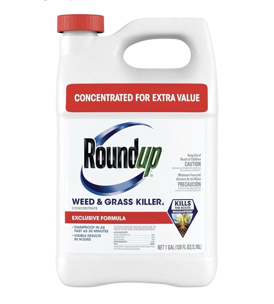 Roundup Weed & Grass Killer4 Concentrate, 1 gal.