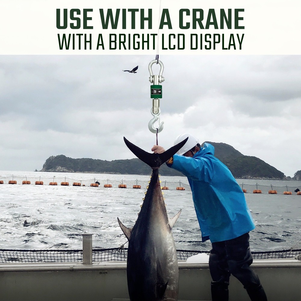 Washdown Safe Wireless 4,000 lb Crane Scale LED with Android App