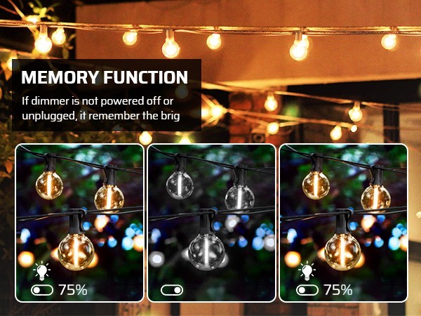 DEWENWILS Outdoor Dimmer for String Lights, Remote Control, Weatherproof, 100FT