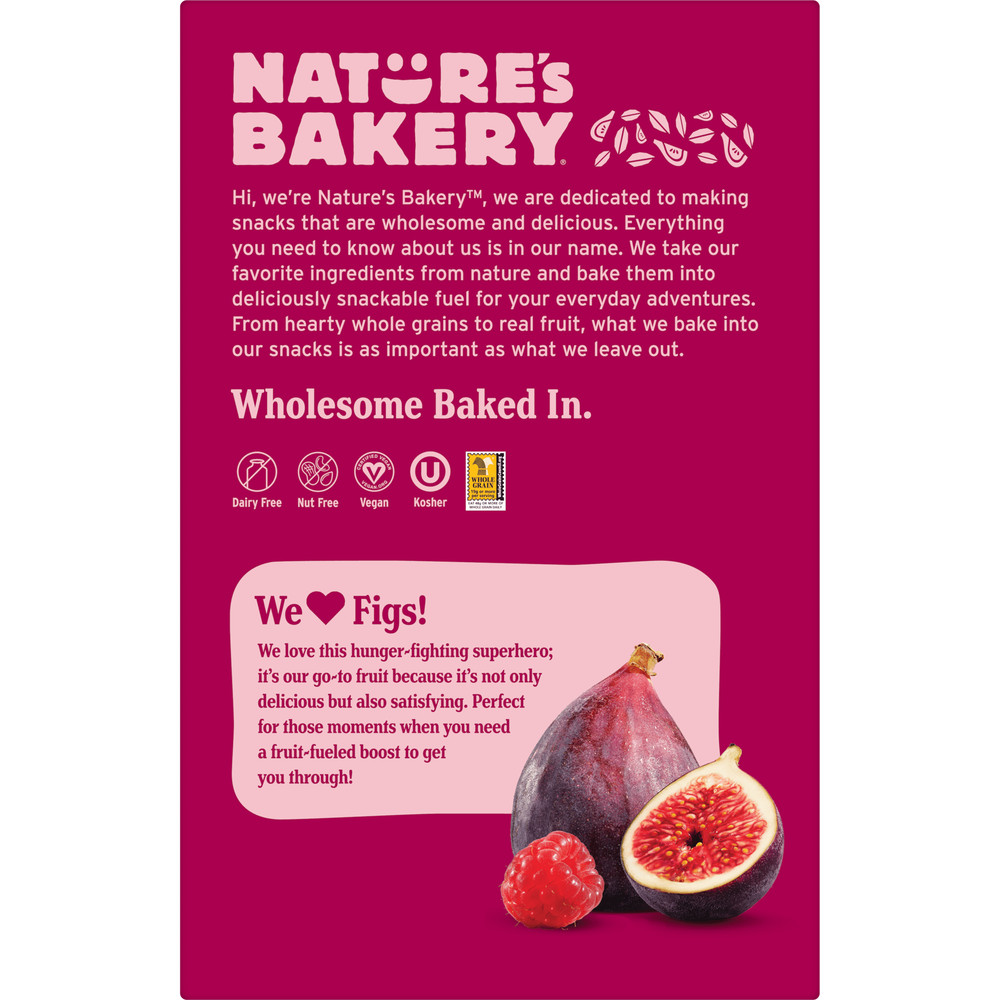 Nature's Bakery Raspberry Fig Bars Snack, 10 Pack, 2 oz Each, Box