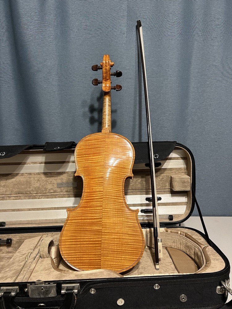 Professional 4/4 Violin E, D. Brvino SV-1 With Case