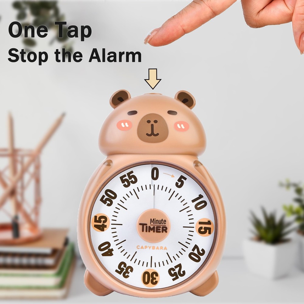 Cute Visual Timer for Kids, Kids 60 Minute Countdown Timer for Teaching, Sile...