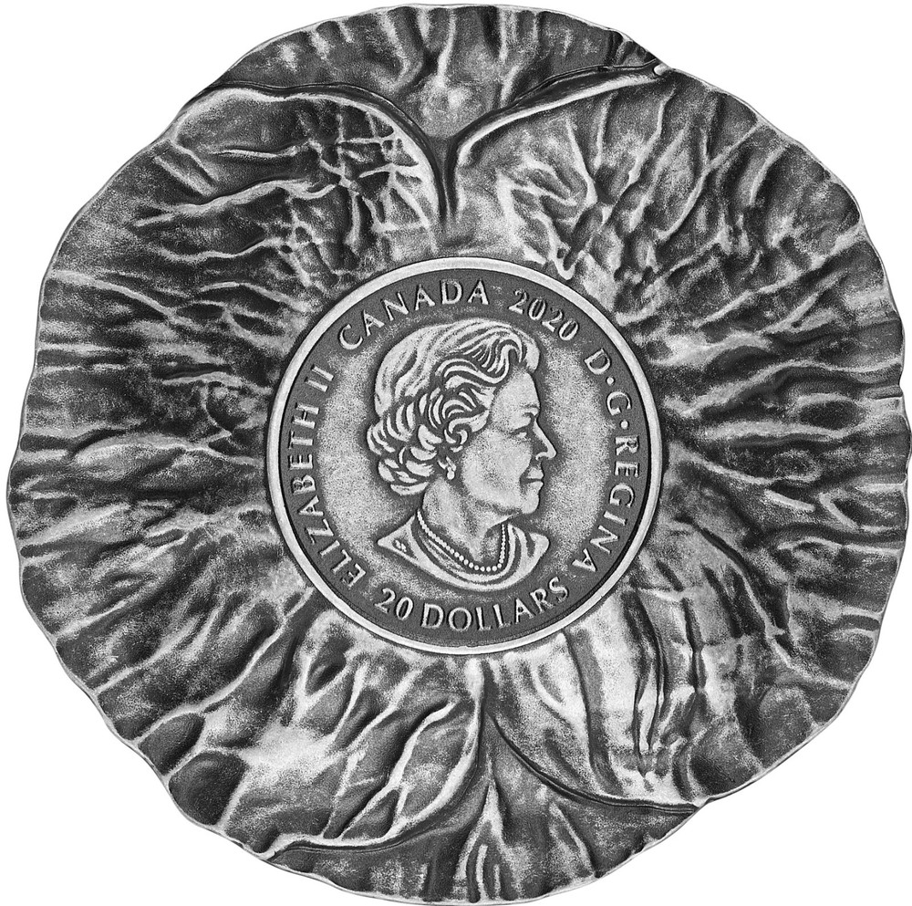 2020 Canada $20 Poppy Shaped Fine Silver Coin