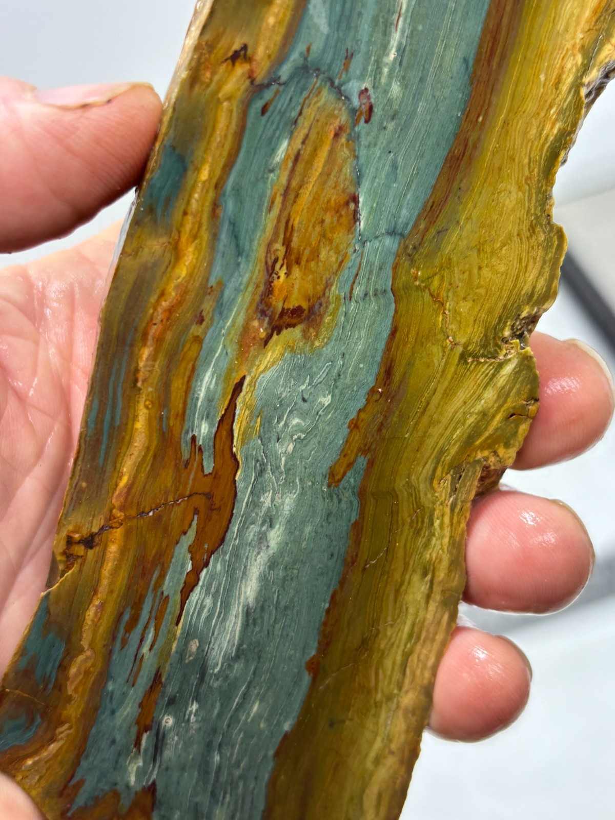 Gary Green Caldera Freedom Jasper Slab Cabbing Lapidary Combo Ship Avail
