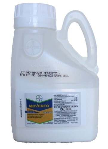 Movento Insecticide - 1 Quart