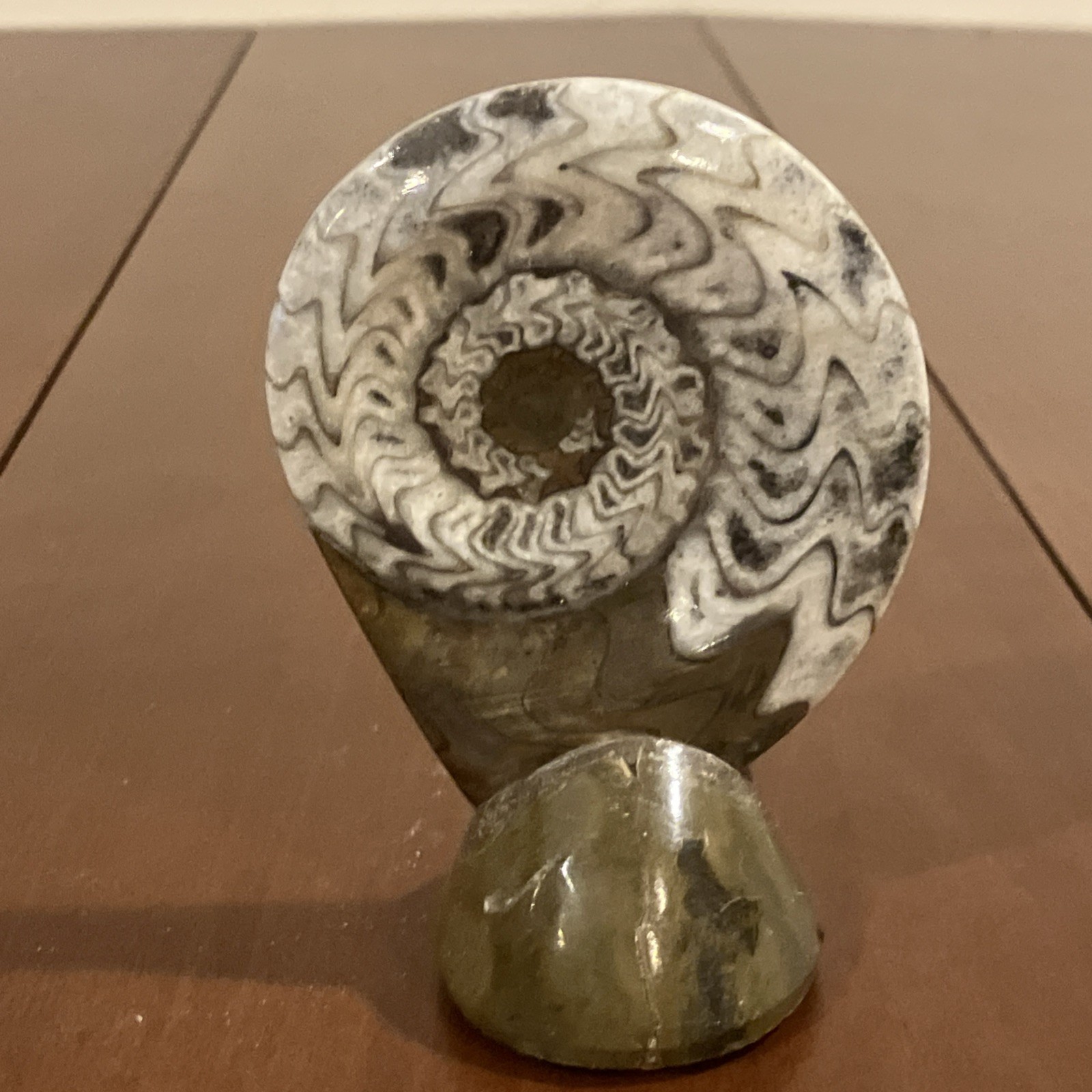 Polished Ammonite Fossil Cross Section Display Specimen w/ Stand