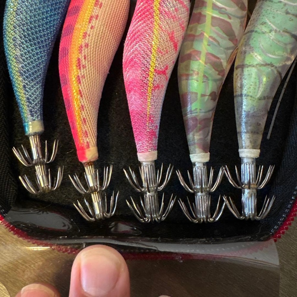 With Bonus Daiwa Theory 2506