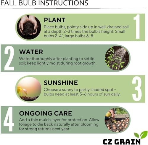 2 Spicy Lizard Caladium Bulbs for Planting - Great Indoor Plants