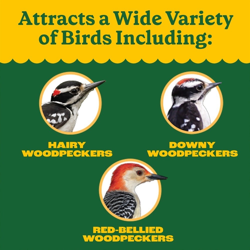 Classics Woodpecker Bar Instant Feeder 11 ounce