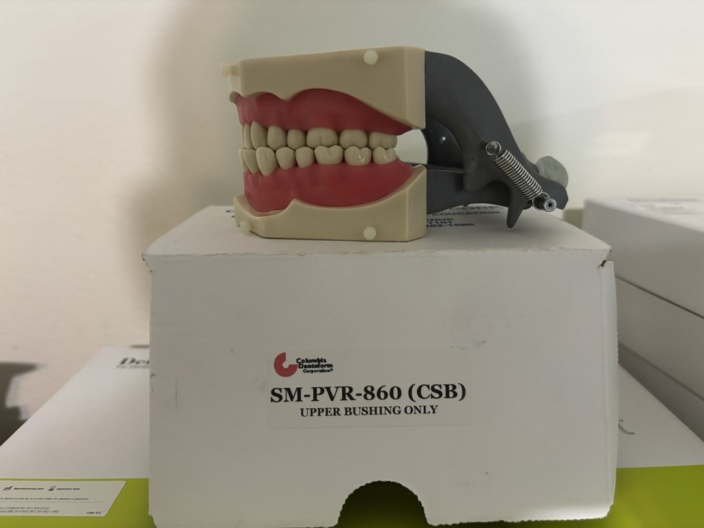 Comlubia Dentoform SM-PVR-860