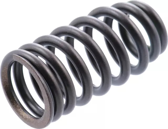 Genuine Valve Spring 13203-6KA0A