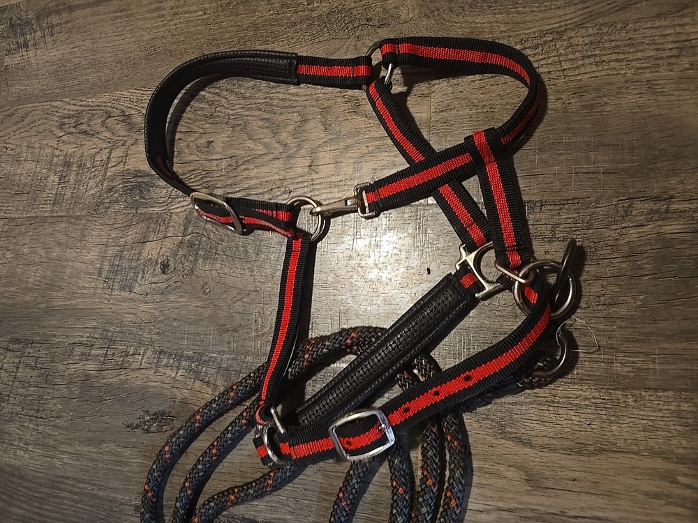 Horse Halter And Lead