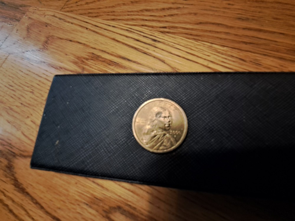 sacagawea dollar 2000 p error
