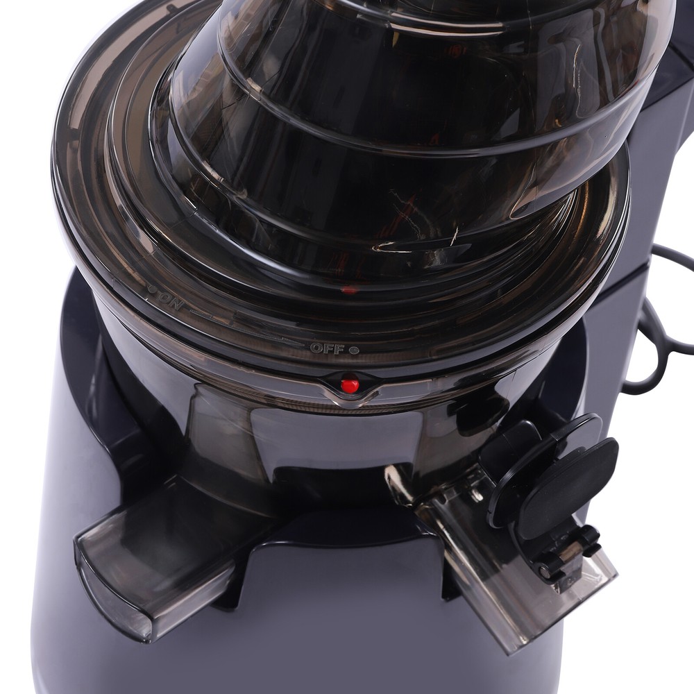 Kitchen Juicer Masticating Juicer Machine Squeezing Fruit Extractor Juicer 250W