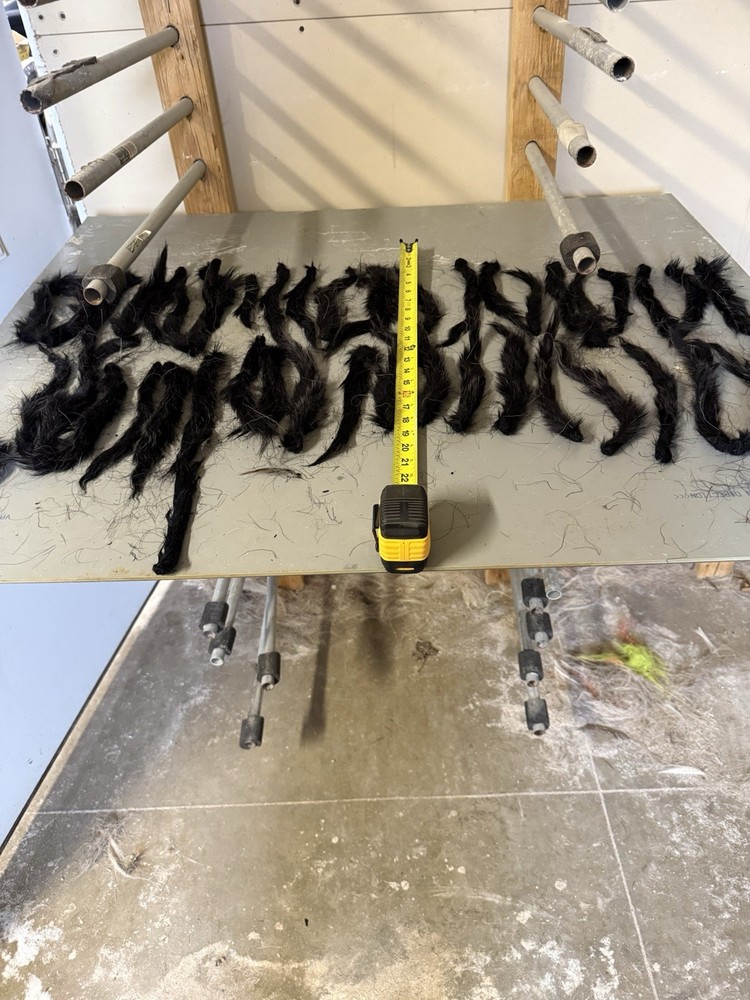 Black Dyed Squirrel Tails 4 per order. Gray squirrel tail dyed black.