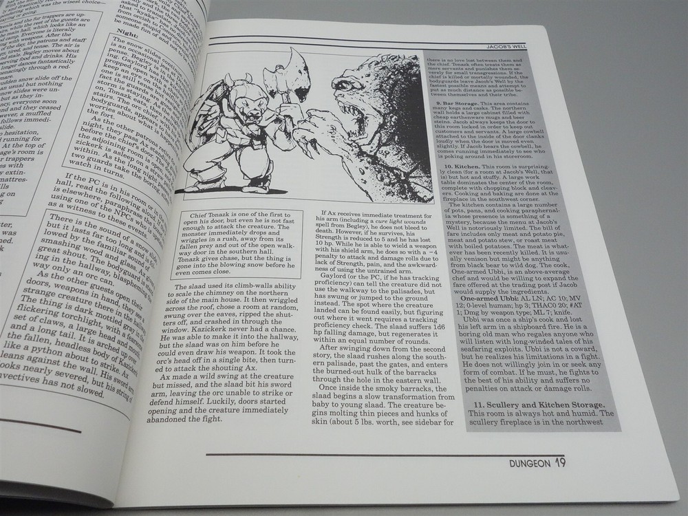 Dungeon Magazine: Issue # 43 (TSR)