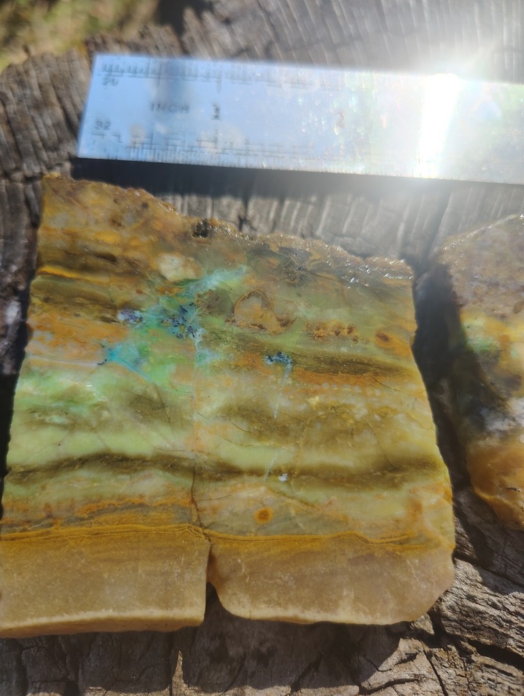 blue opalized petrified wood