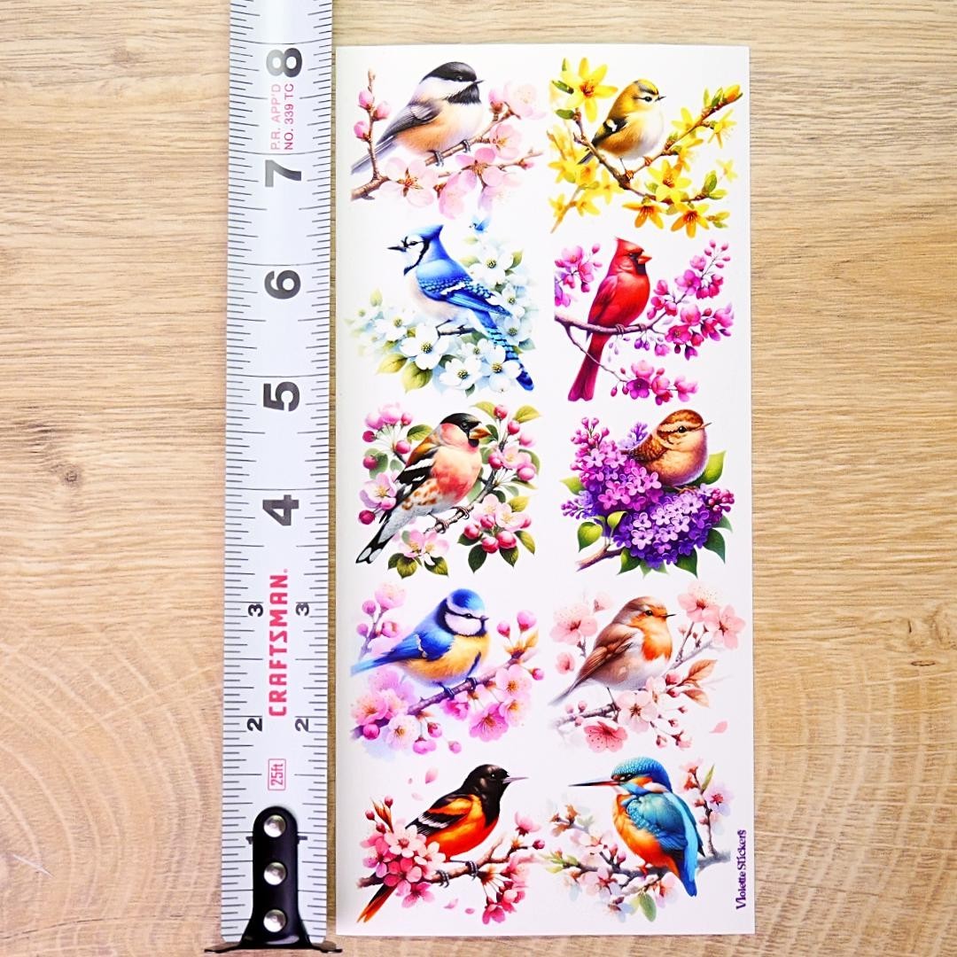 Violette Stickers - Colorful Birds & Flowers Sticker Sheet - Planners & Crafts