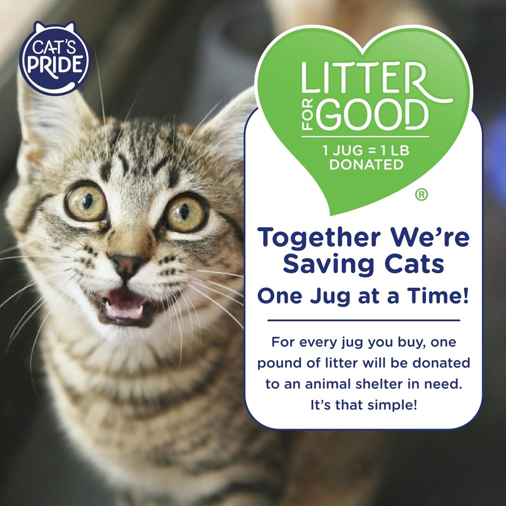 Cat's Pride Lightweight Clumping Litter: Baking Soda - Powerful Odor Control ...