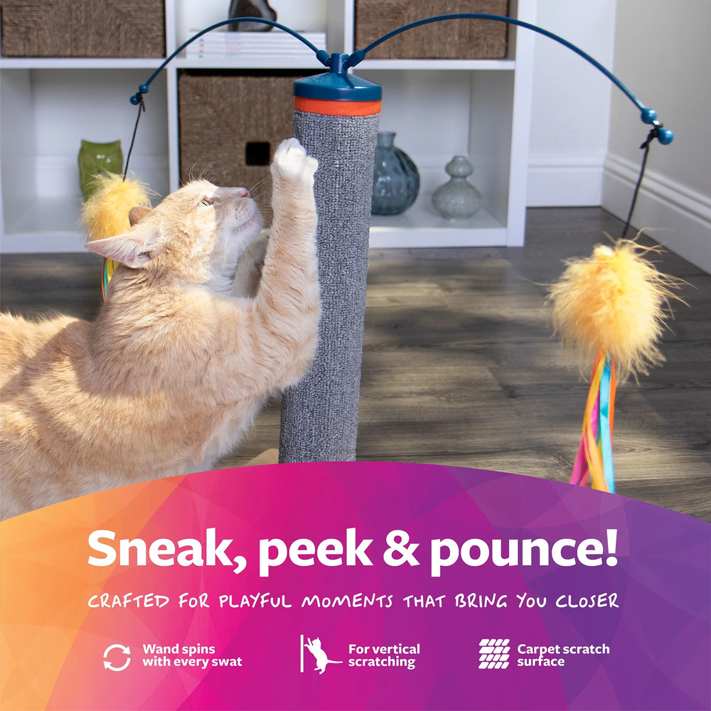 Scratch 'N Spin Cat Toy, Carpet Scratching Post, Interactive Spinning Wand, Mult