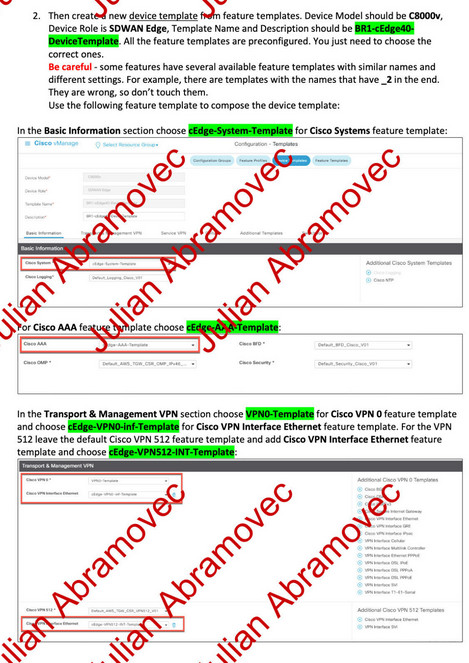 Cisco CCIE EI Lab Kit 2025 VM Ware Full topology/DOO Detailed Guide/DES section