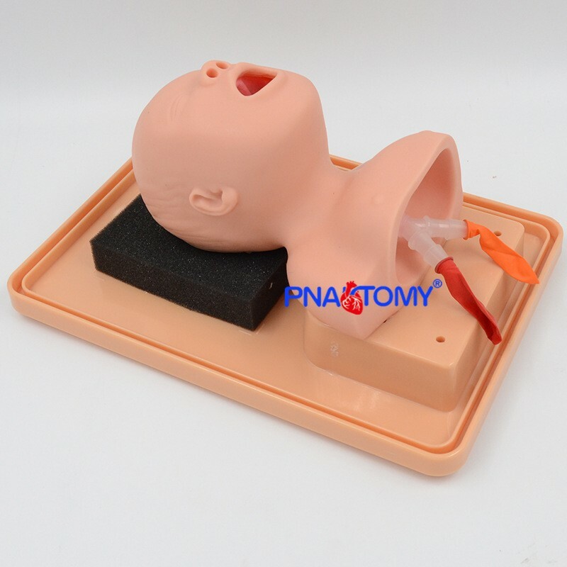 Newborn Neonatal Tracheal Intubation Training Model